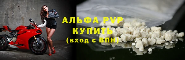ПСИЛОЦИБИНОВЫЕ ГРИБЫ Пересвет