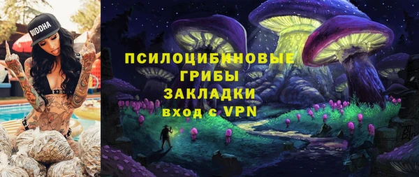 ПСИЛОЦИБИНОВЫЕ ГРИБЫ Пересвет