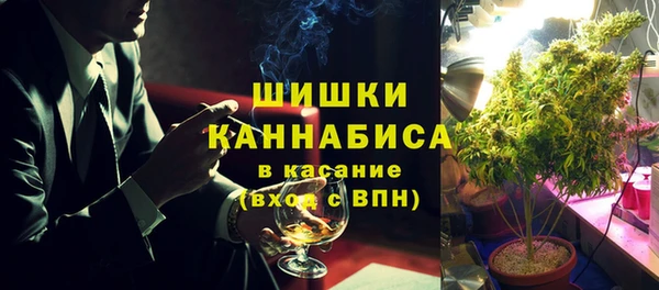 крисы Медногорск