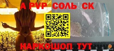 бошки Кингисепп