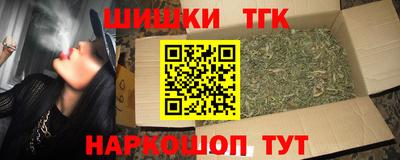 бошки Кингисепп