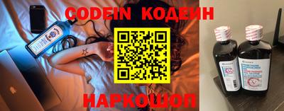 бошки Кингисепп