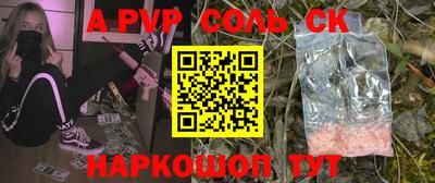 бошки Кингисепп