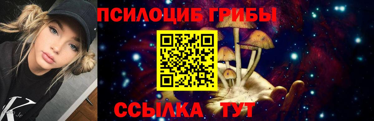 Псилоцибиновые грибы Psilocybe  Сердобск 