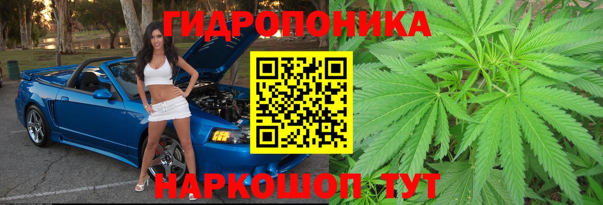 Конопля ГИДРОПОН Сердобск