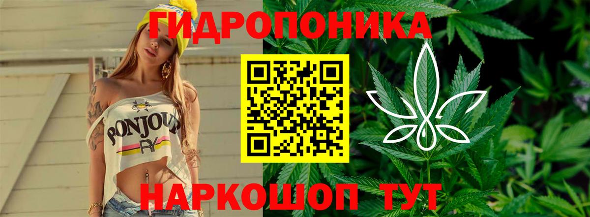Бошки марихуана THC 21%  Канабис сатива  Бошки Шишки тримм  Сердобск 